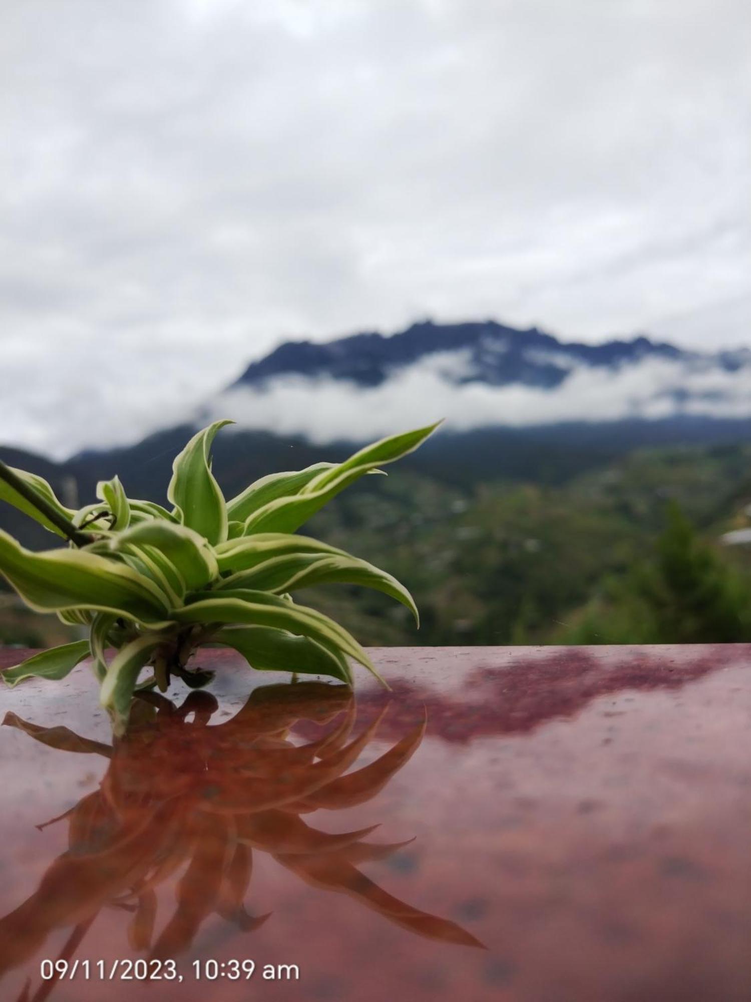 Highland Homestay Kundasang Ранау Екстер'єр фото